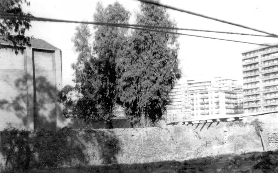 Calle Particular de Allende (A la altura del N°8)