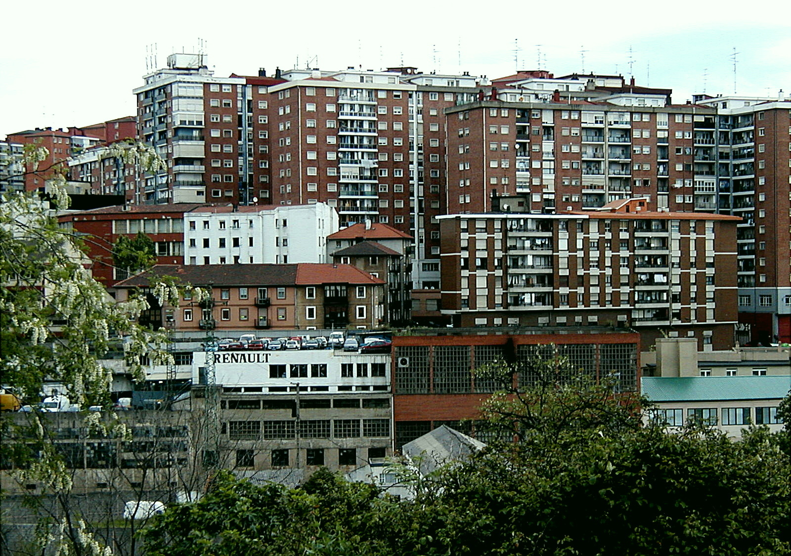 OLYMPUS DIGITAL CAMERA