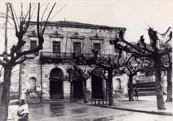 Los árboles han sido podados y anuncian e final de sus días