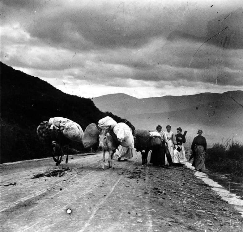 52598570_2249923421685177_4913533485311852544_n