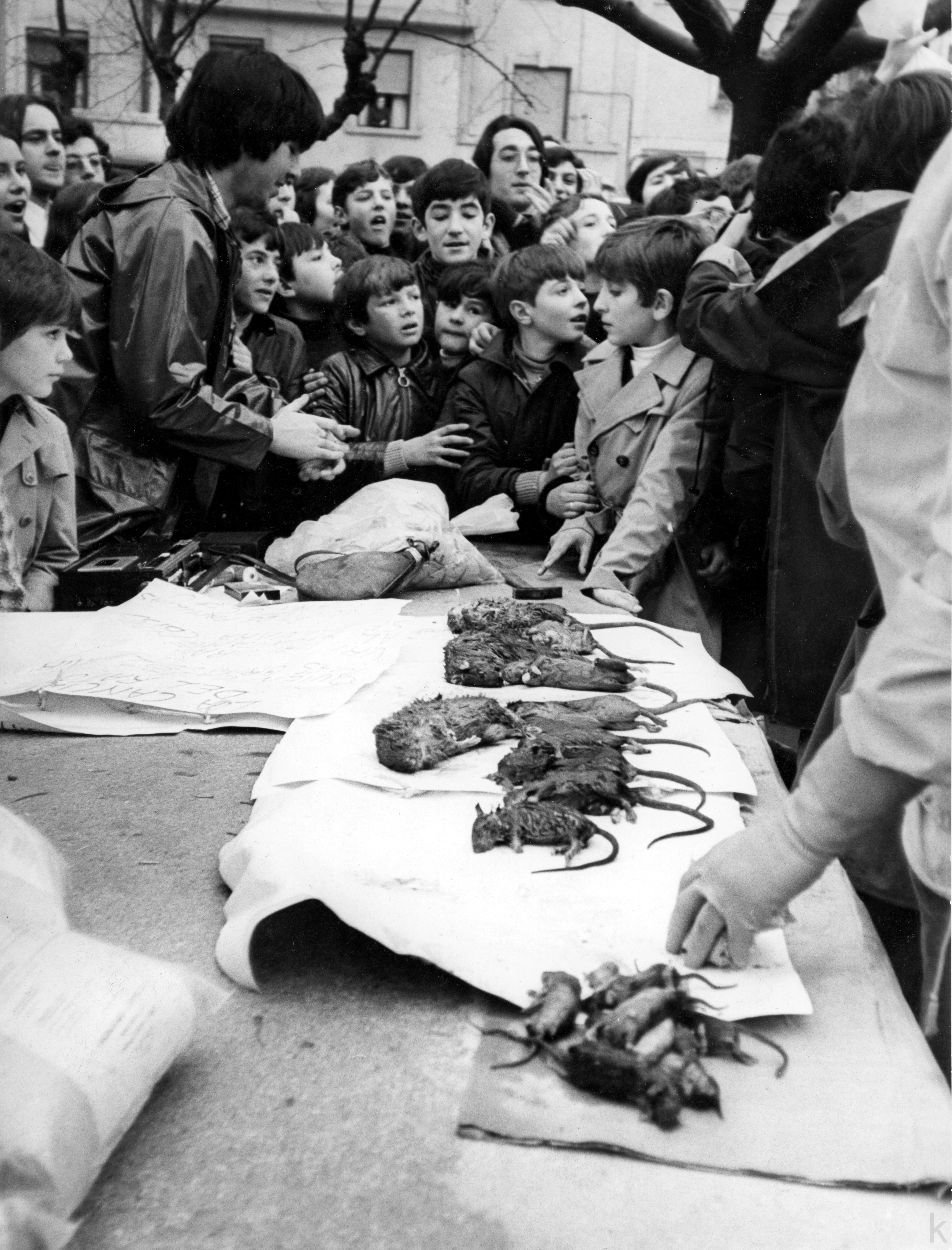 Campaña vecinal en Santutxu contra las ratas. 1976-02-03