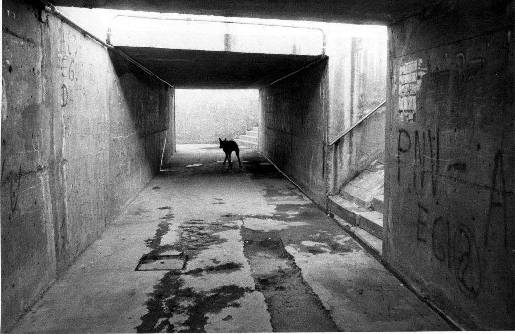 La imagen tiene un atributo ALT vacío; su nombre de archivo es 03archivo-municipal-de-bilbao.-fondo-la-gaceta-del-norte-1.jpg