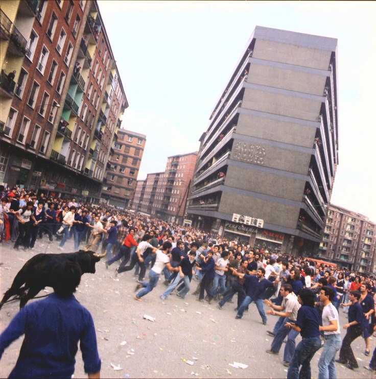 La imagen tiene un atributo ALT vacío; su nombre de archivo es argazkizahar144-sokamut1.jpg