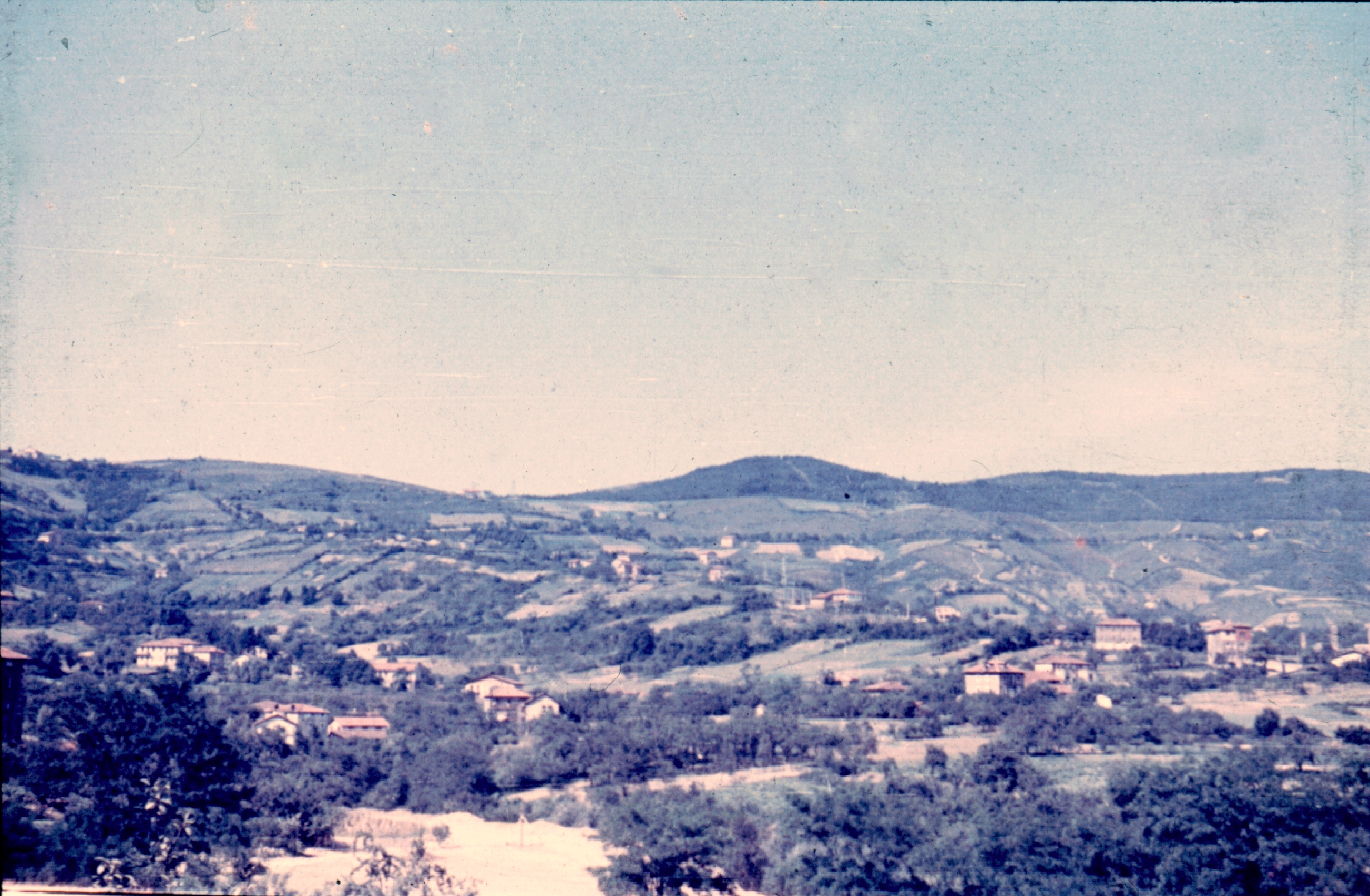 MATALOBOSDESDEITURRIAGA1960