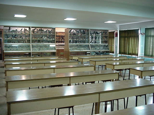 2002-6 Laboratorio de ciencias naturales