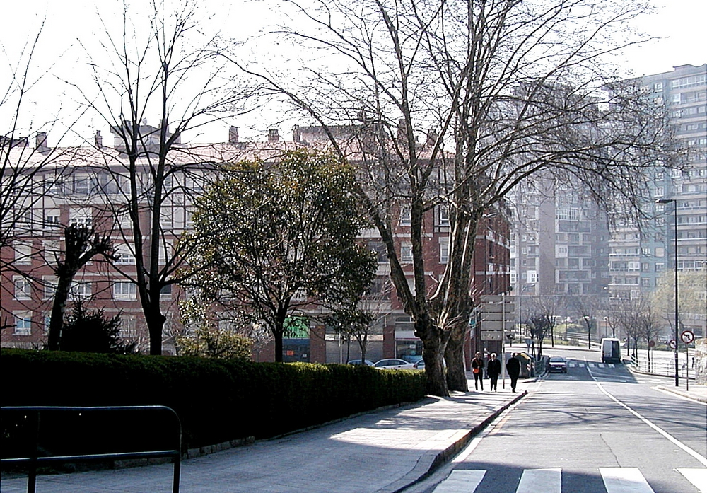 Txakoli Gallaga-3 (2)