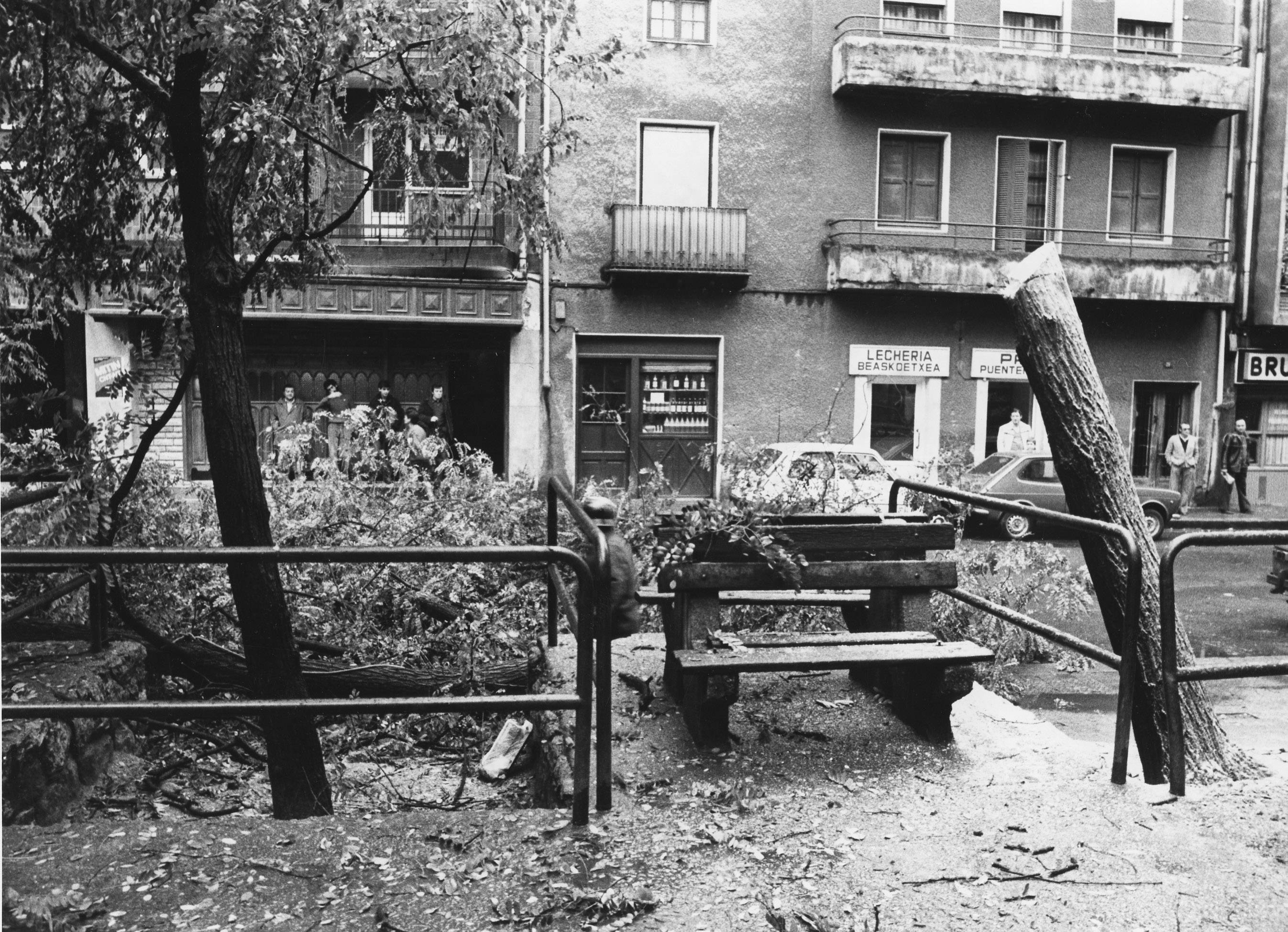 Tala de árboles en la calle Juan de la Cosa de Bilbao. Elemento
