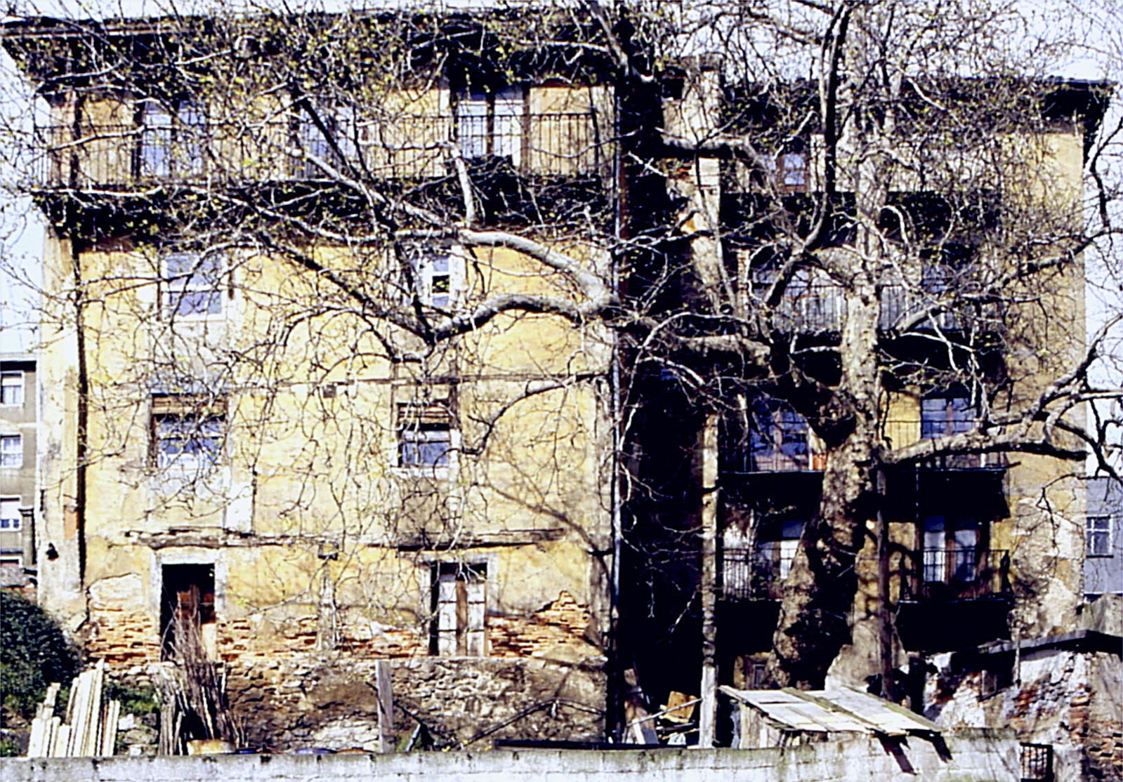 Txakoli La Parrita 2