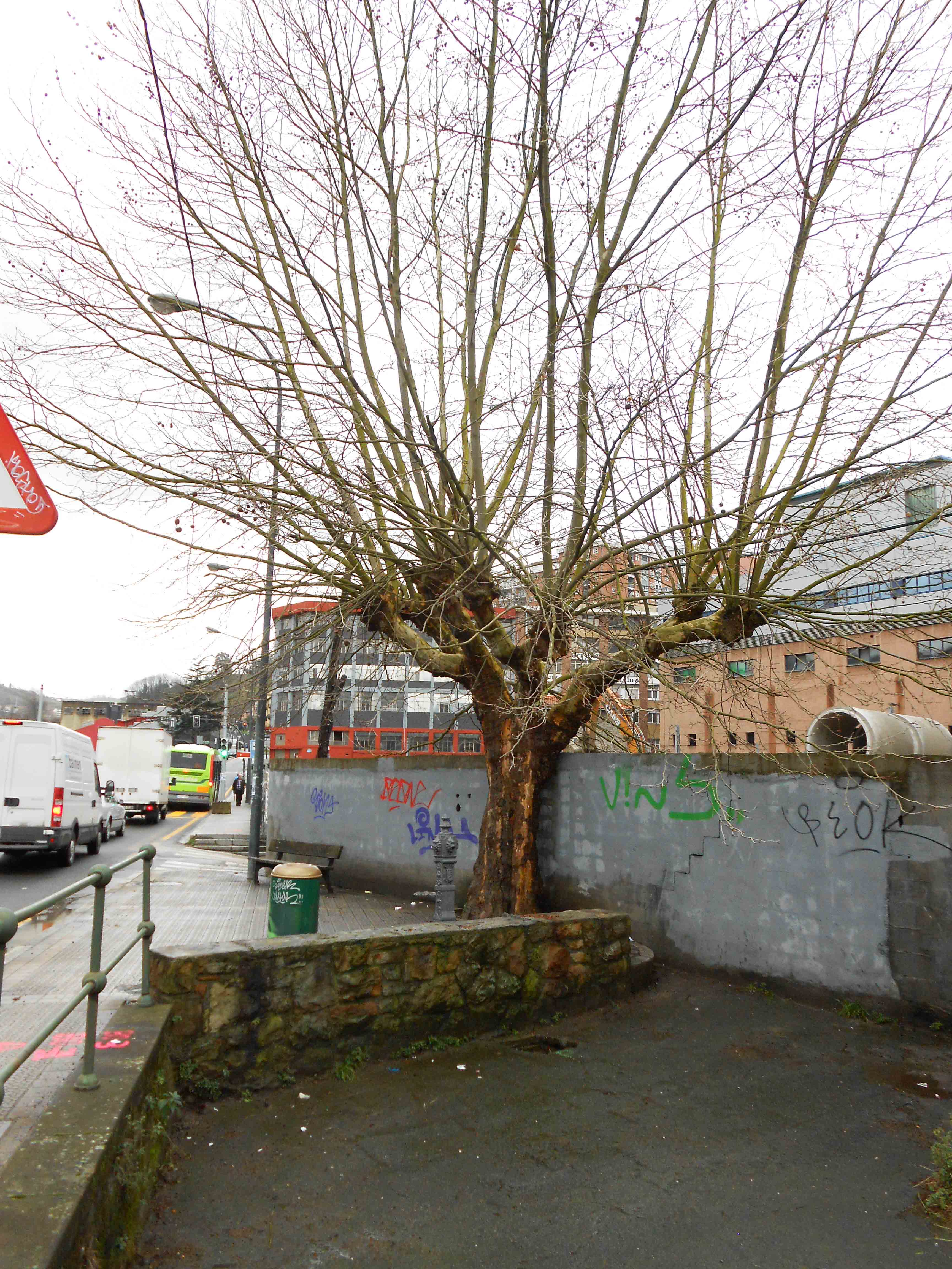 7-BOLUETA Foto de Jose Luis Amestoy