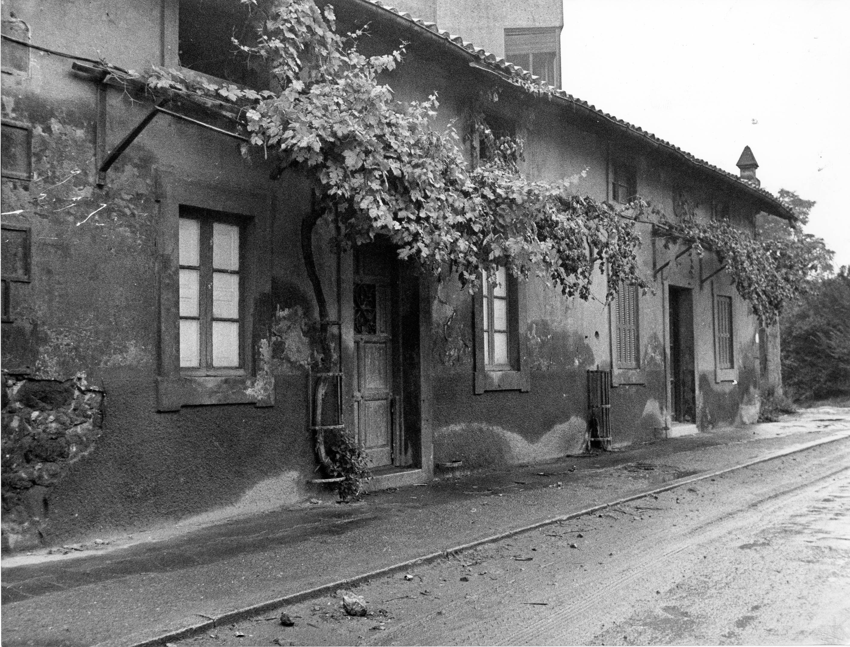 Txakolí "Casa de las Parras" en Bolueta. 1972-09-22