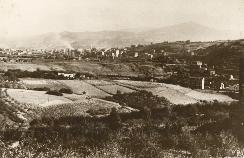 Terrenos de la zona de Bolueta