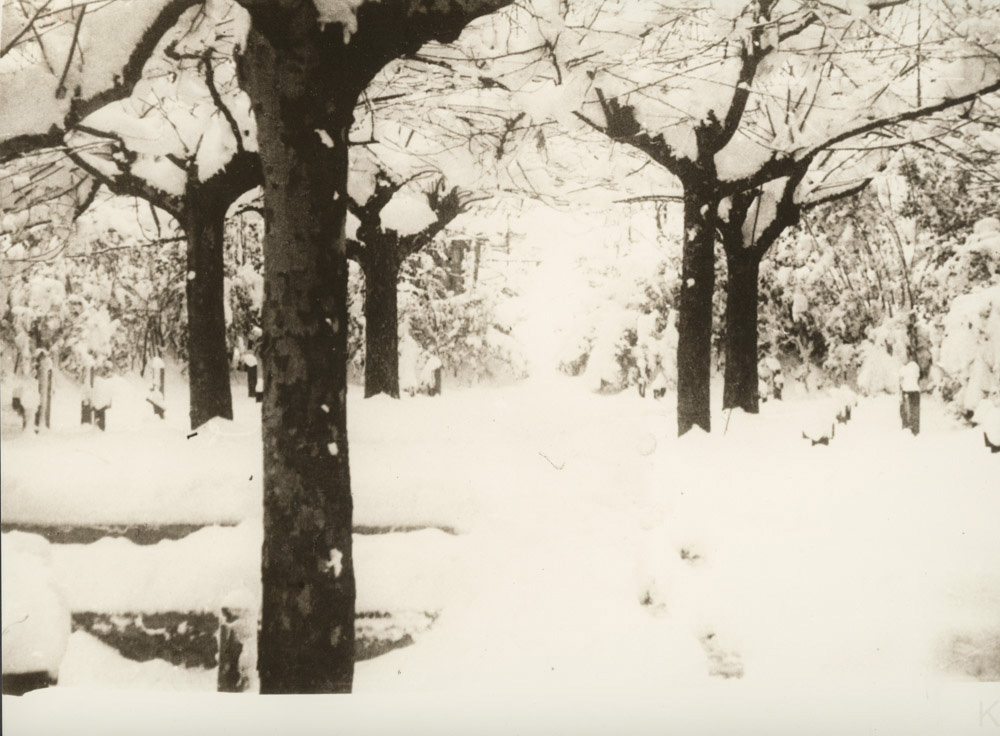Patio del Bar La Parrita en un día de invierno.